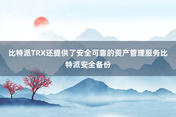 比特派TRX还提供了安全可靠的资产管理服务比特派安全备份