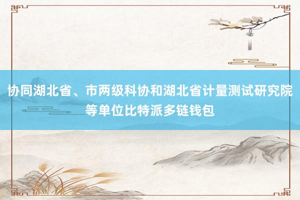 协同湖北省、市两级科协和湖北省计量测试研究院等单位比特派多链钱包