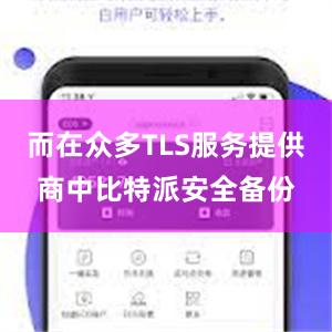 而在众多TLS服务提供商中比特派安全备份